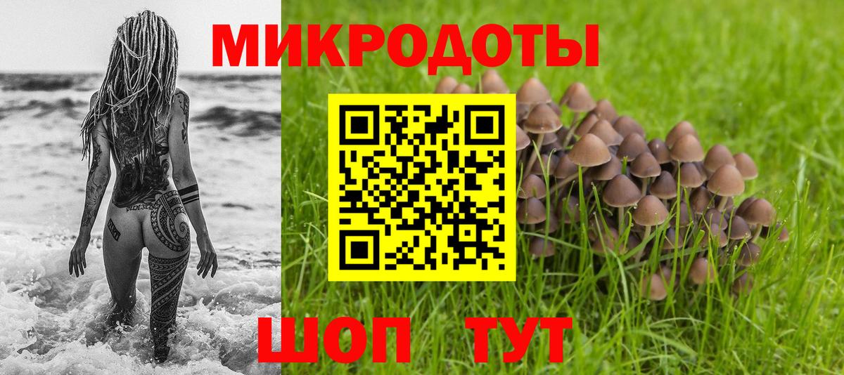 Псилоцибиновые грибы мухоморы Норильск