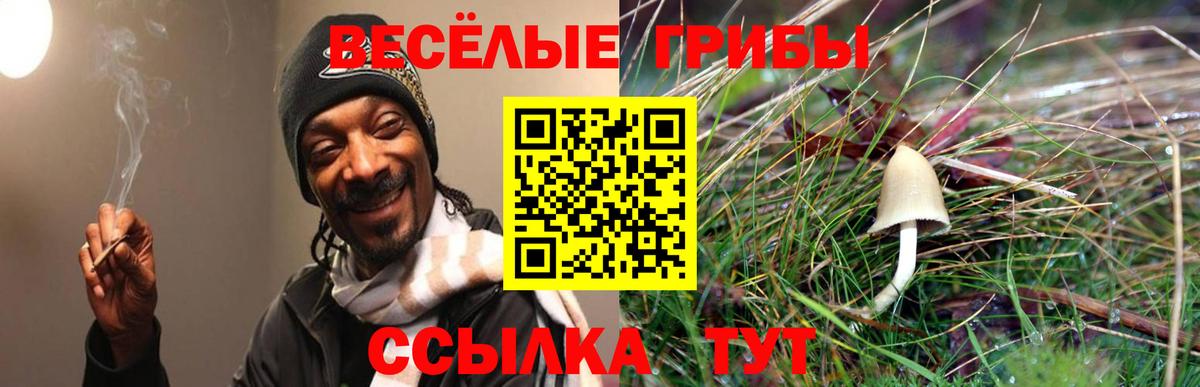 Галлюциногенные грибы ЛСД  Вход с VPN  Норильск 